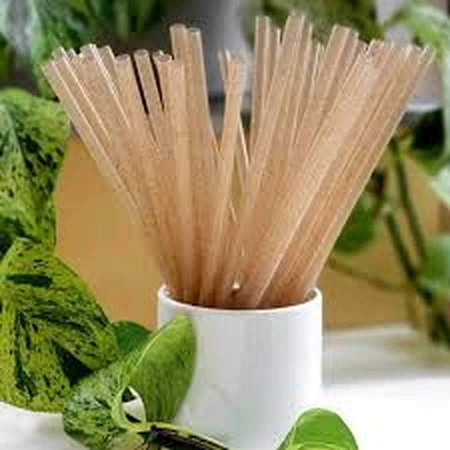 Natural agave straws